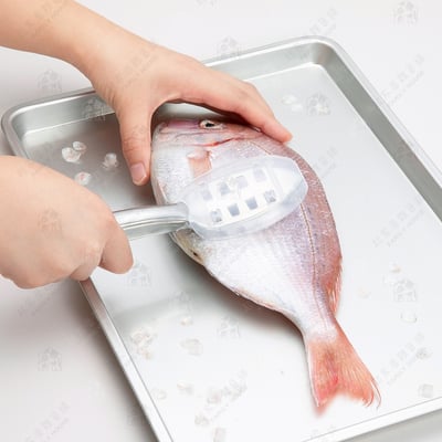 日本貝印KAI－SELECT100 18-8不鏽鋼刮魚鱗器8