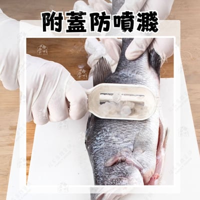 日本貝印KAI－刮魚鱗器3