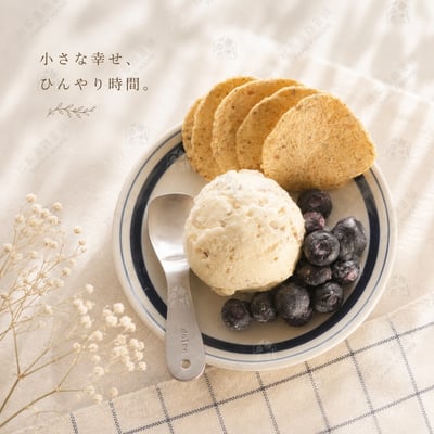 日本ECHO－不鏽鋼冰淇淋匙6
