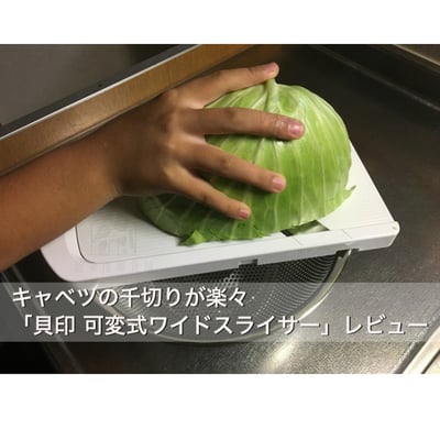 日本貝印KAI－可調厚度刨片器7