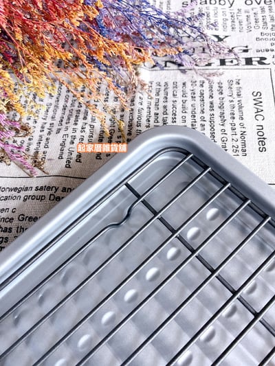 日本Pearl Life－不沾小烤盤附瀝油網7