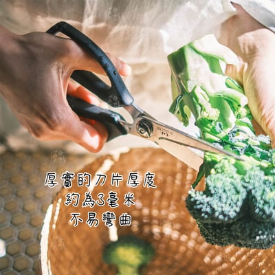 日本貝印KAI－SELECT100 可拆洗鋸齒廚房剪刀5
