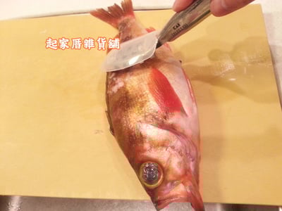 日本貝印KAI－SELECT100 18-8不鏽鋼刮魚鱗器4