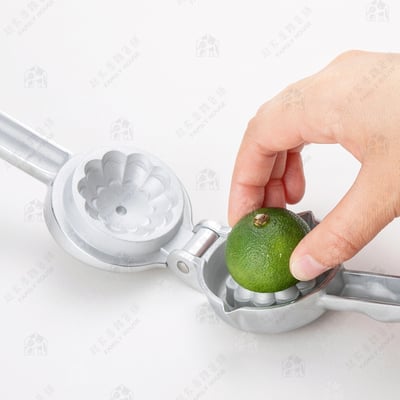 日本貝印KAI－SELECT100 壓汁器4
