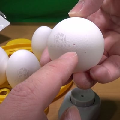 日本SURUGA－雞蛋打洞器6