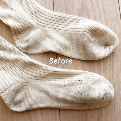 日本ECHO－手動除毛球器4