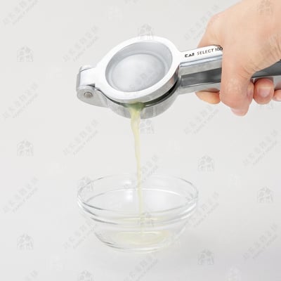 日本貝印KAI－SELECT100 壓汁器6