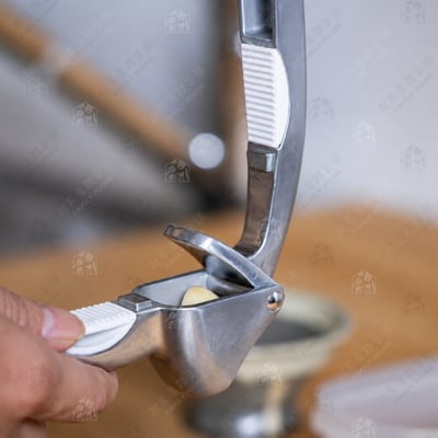 日本貝印KAI－SELECT100 壓蒜器9