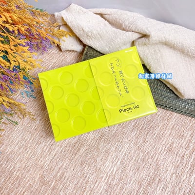 日本inomata－吸磁式小物收納籃13