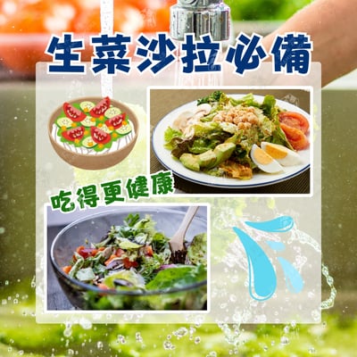 日本PAERL－蔬菜脫水器5