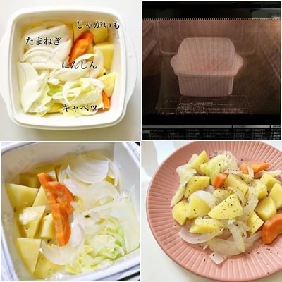 日本sanada－多功能微波盒7