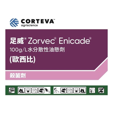 統讚&足威(組合包)1