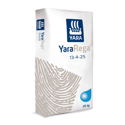 雅苒銳加超溶4號1