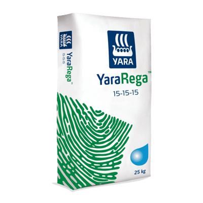 雅苒銳加超溶15號1