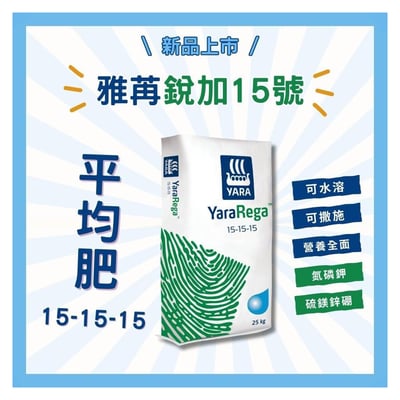 雅苒銳加超溶15號2