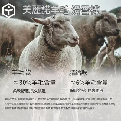 Taotech｜ 基礎款滑雪襪_腈綸/羊毛4
