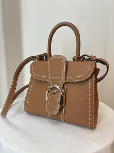 Ba1410 Delvaux brillant3