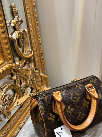 LV老花 mini speedy2