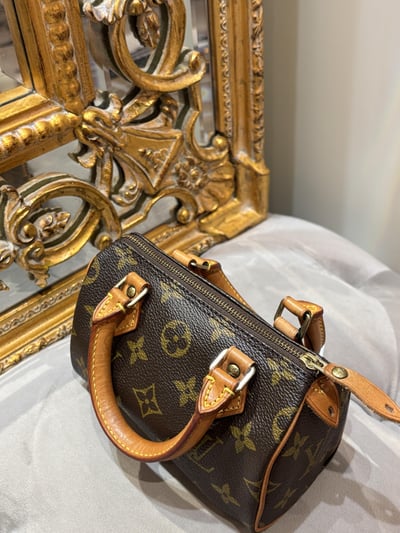 LV老花 mini speedy5