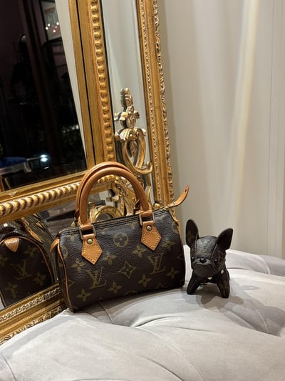 LV老花 mini speedy16