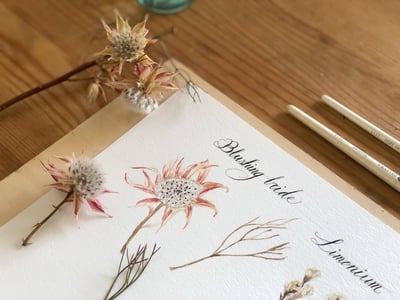 輕水彩課：與花生活的日日8