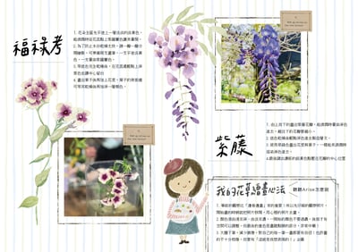 輕水彩課：我所鍾愛的那些紫色小花2