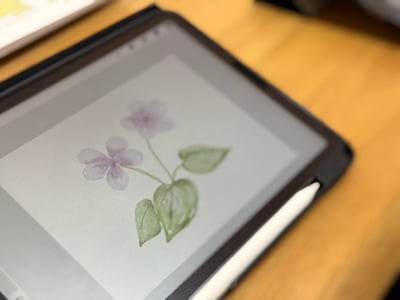 iPad畫畫課：春天的水彩花園3