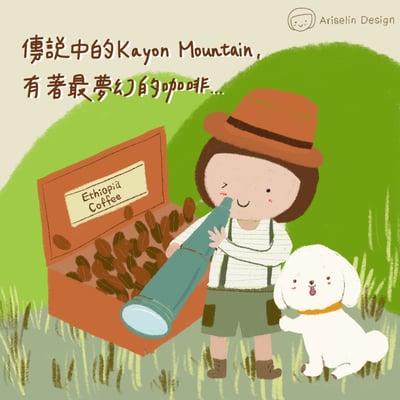 新手的第一堂 iPad 畫畫課｜Ariselin Design 線上課程｜6