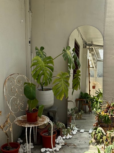 輕水彩：台南《光明瓦斯行》6