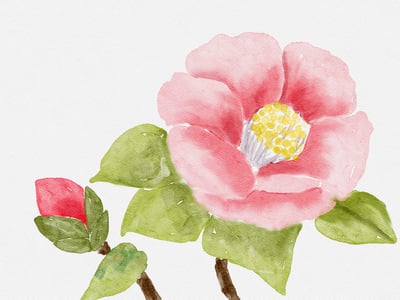 iPad畫畫課：春天的水彩花園7