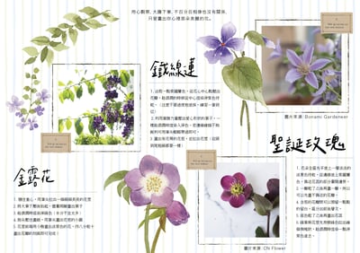 輕水彩課：我所鍾愛的那些紫色小花3