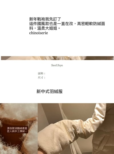 新中式清冷羽絨外套2