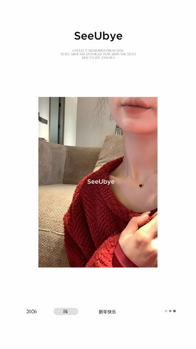 新年紅毛絨絨家居8