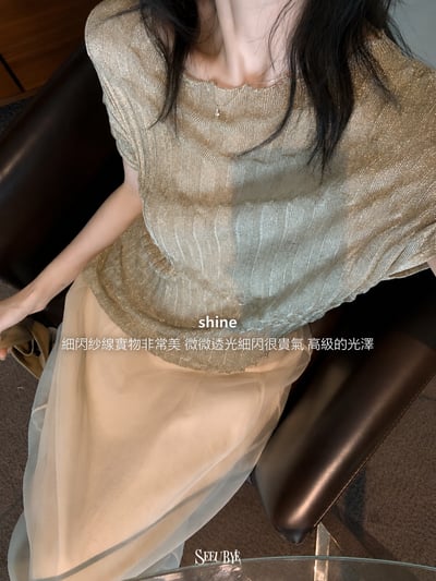 細閃紗紗上衣｜非常美2