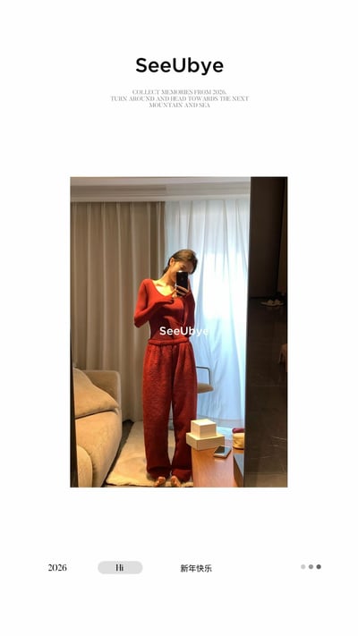 新年紅毛絨絨家居6