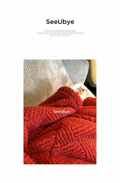 新年紅毛絨絨家居9