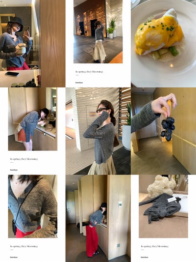 春的毛衫 四個色4