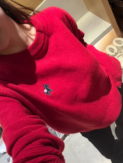 S260 小馬散步針織衫1