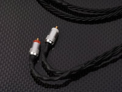 Brise Audio BSEP for A10000 final A10000 專用入耳式耳機升級線4