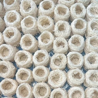 Kataifi Bird Nest/Tart3