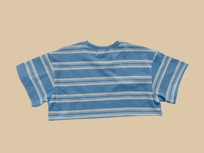 041018條紋短上衣(兩色)3