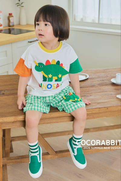 041339恐龍上衣(兩色)6