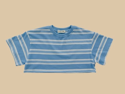 041018條紋短上衣(兩色)2