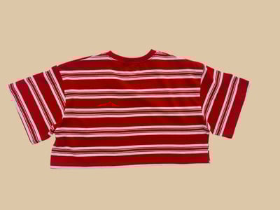 041018條紋短上衣(兩色)5