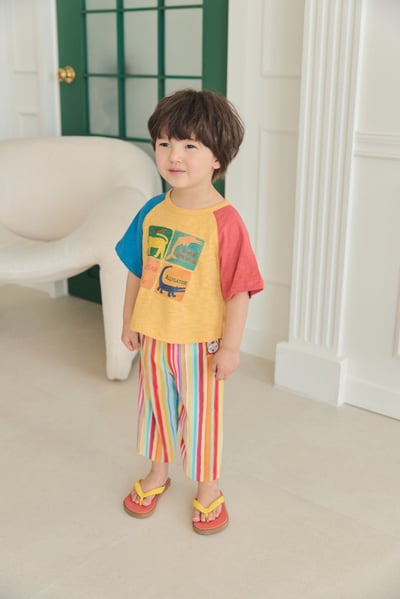 040824彩色直紋褲2