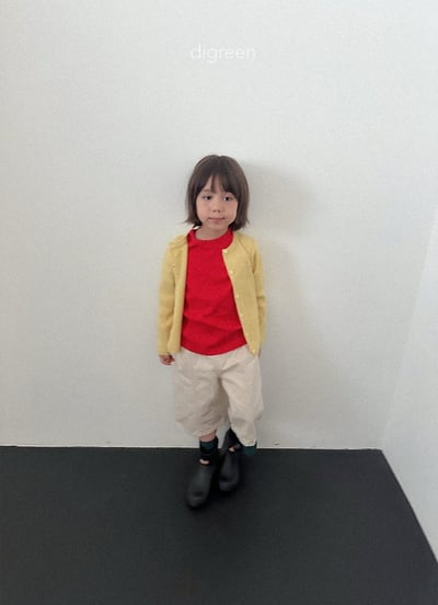 Digreen16褲(三色)7