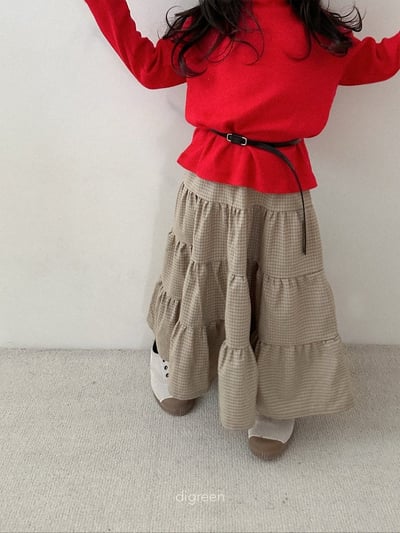 Digreen50腰帶(四色)3