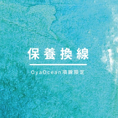 保養換線 (請先詢問勿自行下單)1
