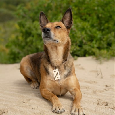 Oya Ocean Te Ara 項鍊-生命之路4