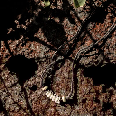 Oya Ocean 蛇骨項鍊:不朽之力7